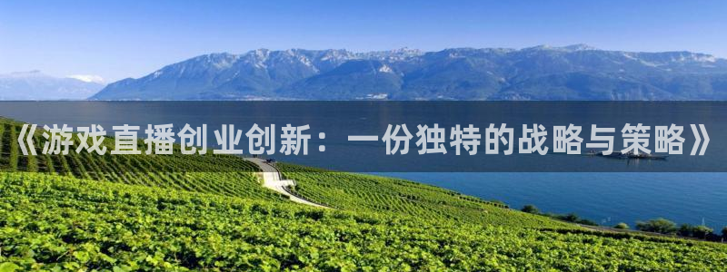 星欧娱乐集团：《游戏直播创业创新：一份独特的战略与策略》