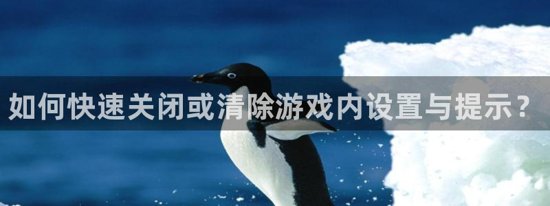 星欧娱乐平台官方网站：如何快速关闭或清除游戏内设置与提示？