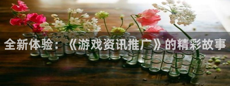 星欧娱乐：全新体验：《游戏资讯推广》的精彩故事