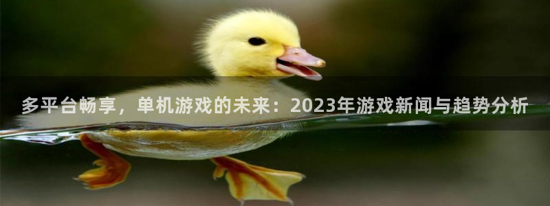 星欧娱乐的意思