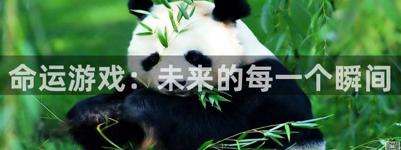 星欧娱乐官方注册登录：命运游戏：未来的每一个瞬间