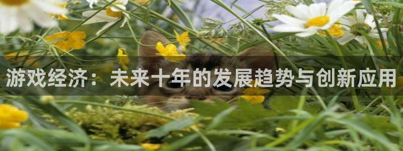 星欧娱乐集团：游戏经济：未来十年的发展趋势与创新应用